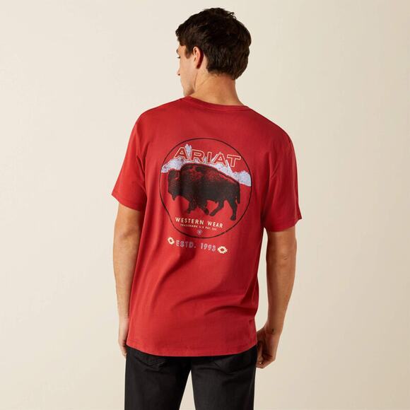 New Men's Ariat Patriot Buffalo Coin T-Shirt in Brick Red size XXL - Picture 3 of 8